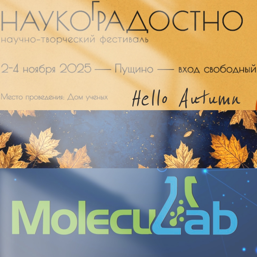 Приглашаем на фестиваль